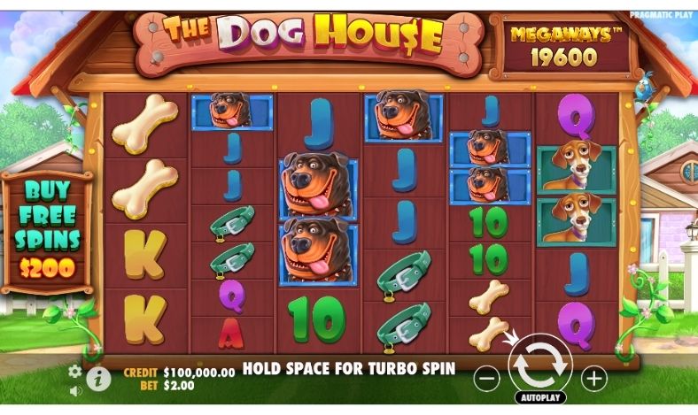 The Dog House Megaways (1)