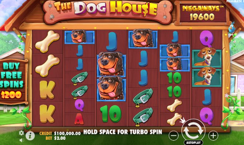 The Dog House Megaways