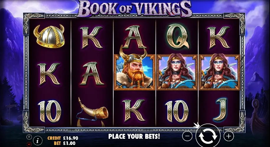 book of vikings